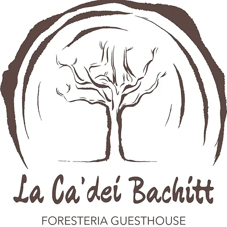 Foresteria Ca' Dei Bachitt 4* Lierna